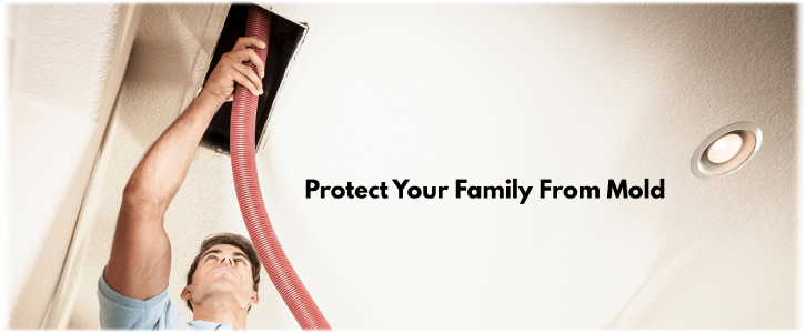 Air Duct Mold Removal in Chandler AZ